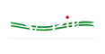 SAPiK